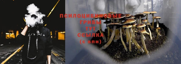 ПСИЛОЦИБИНОВЫЕ ГРИБЫ Белокуриха