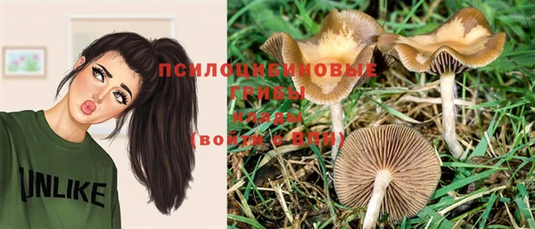 ПСИЛОЦИБИНОВЫЕ ГРИБЫ Белокуриха