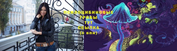 ПСИЛОЦИБИНОВЫЕ ГРИБЫ Белокуриха